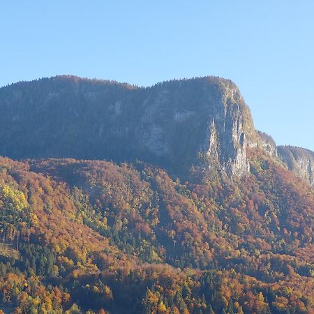Apartmaji Pr'Pisk Bohinjska Bela Dış mekan fotoğraf
